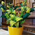 Liliom