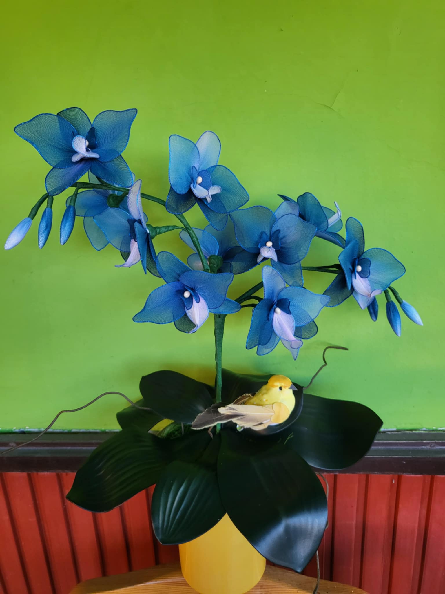 Orchidea (Kék)